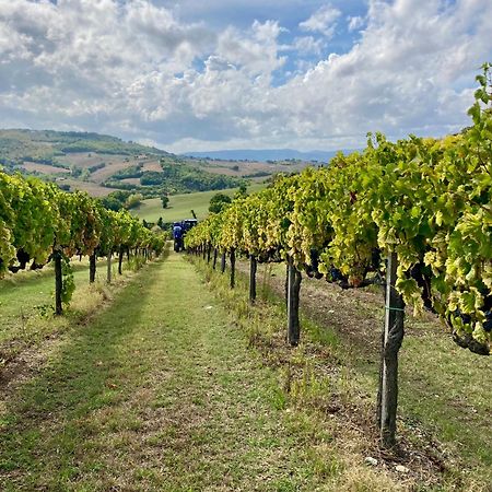 Saragano Agriturismo Portoreschi מראה חיצוני תמונה