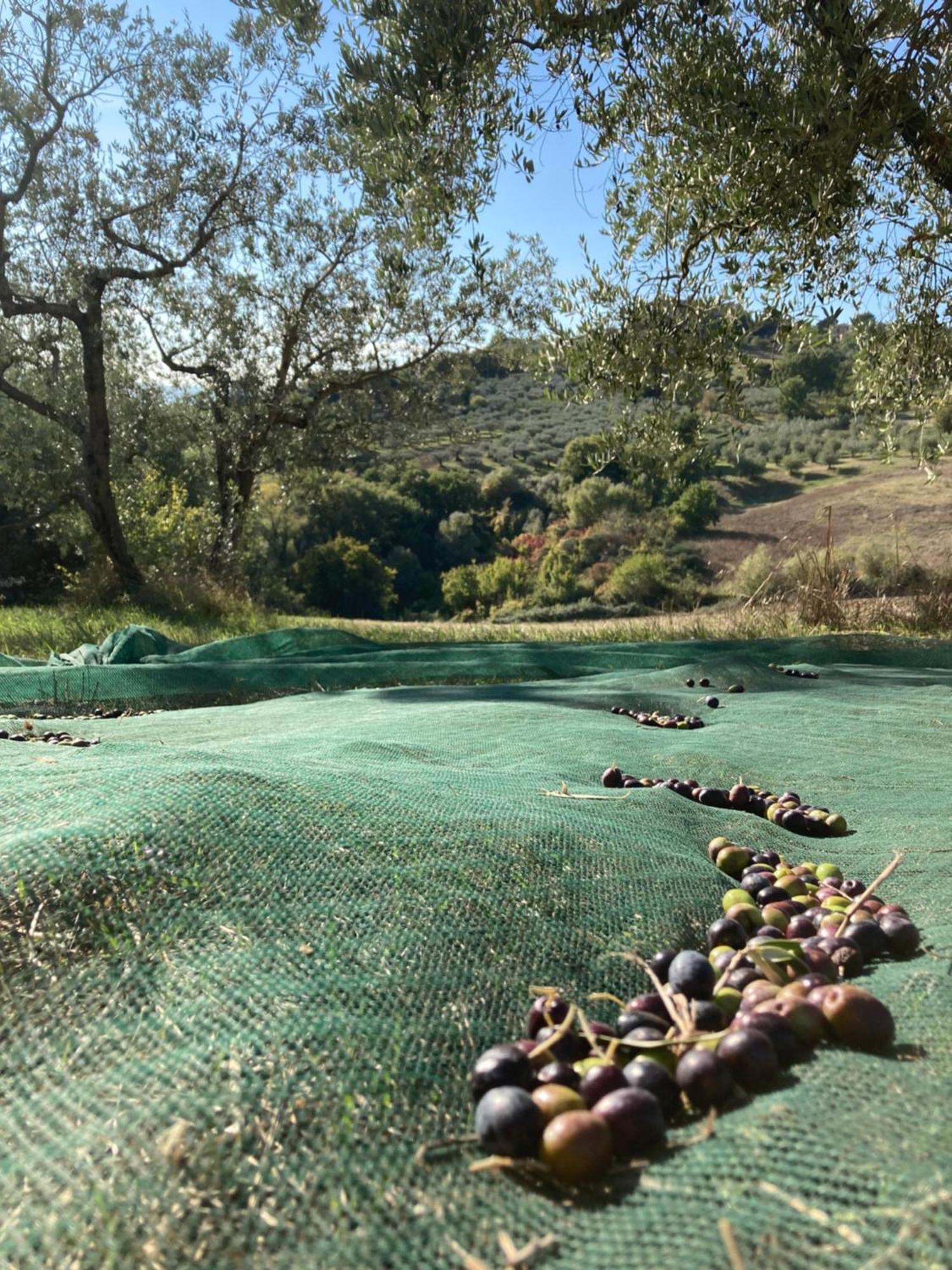 Saragano Agriturismo Portoreschi מראה חיצוני תמונה