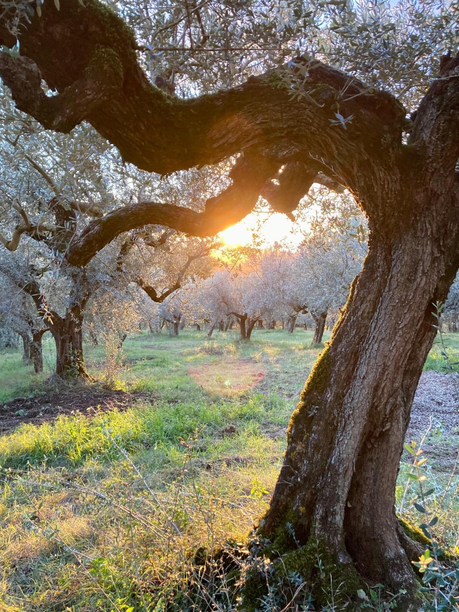 Saragano Agriturismo Portoreschi מראה חיצוני תמונה