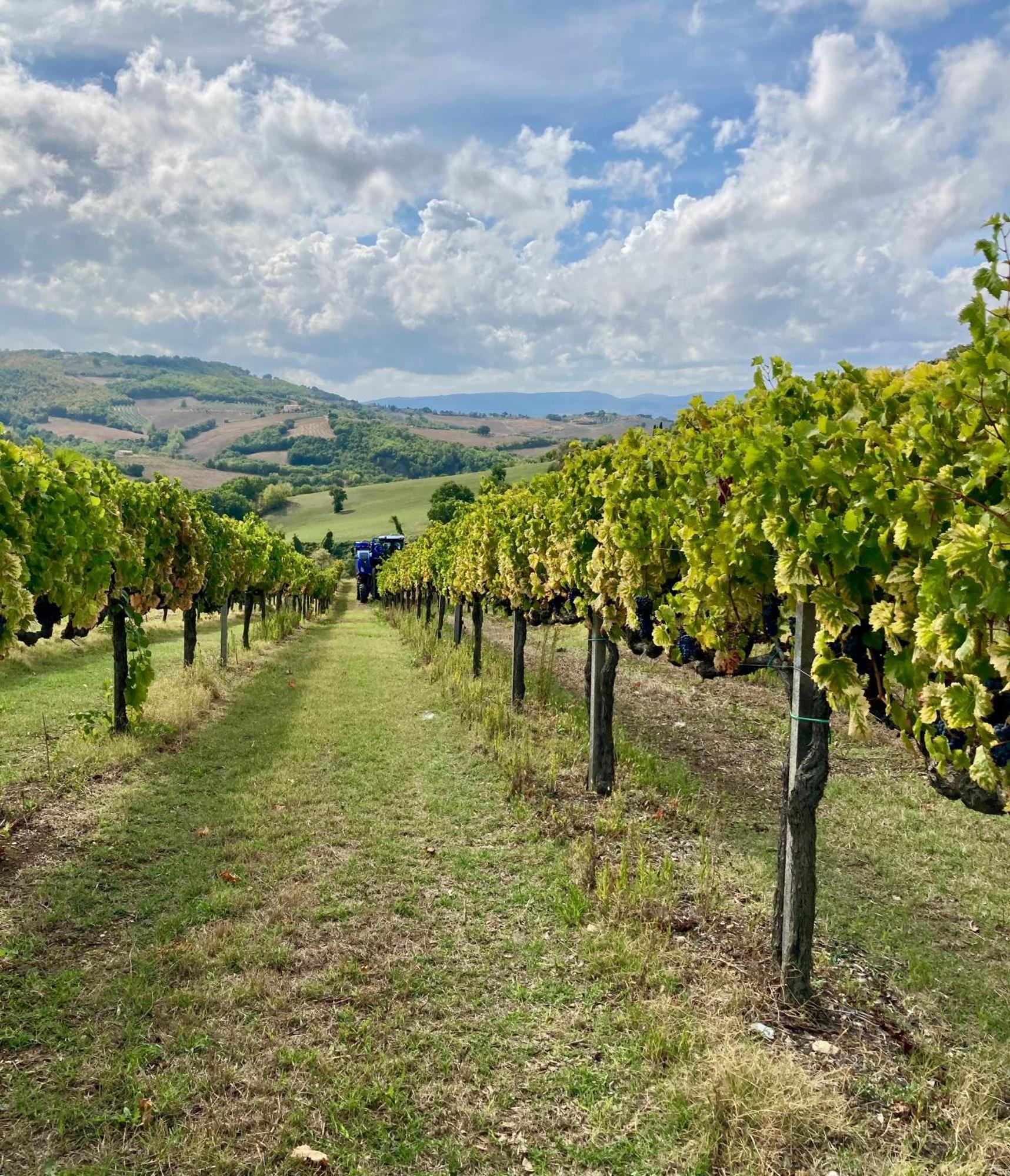 Saragano Agriturismo Portoreschi מראה חיצוני תמונה